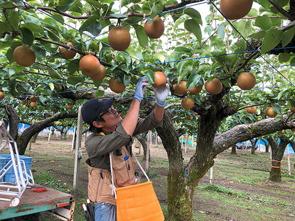 農業人とやま 先輩就農者紹介