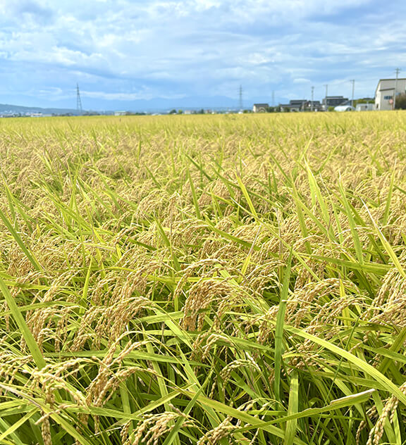 農業人とやま 先輩就農者紹介